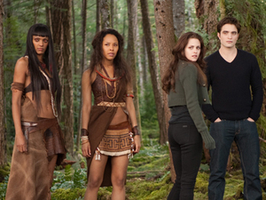 Illustration for article titled The final Twilight movie is like a porn film with action figures